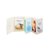 SKIN 1004 - Sun Trial Kit (5 pieces)